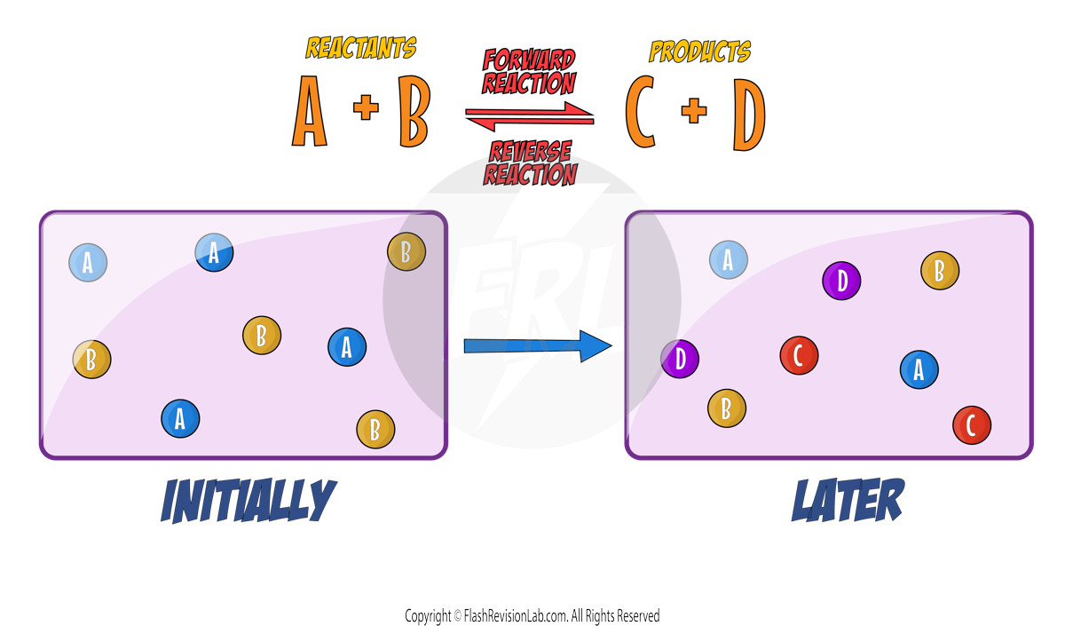 Reaction Particles